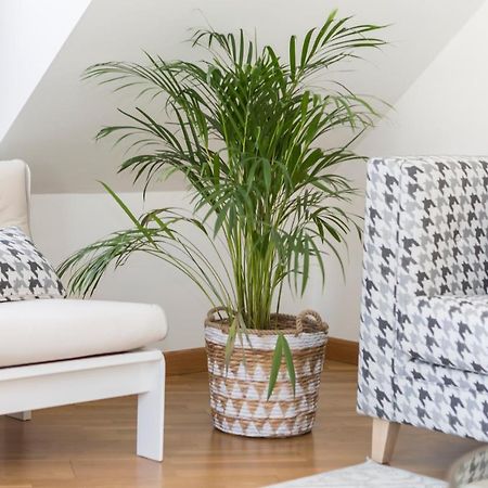 Apartamento Boutique Con Terraza Y Vistas Al Mar. Porto Vilanova Villanueva De Arosa Kültér fotó